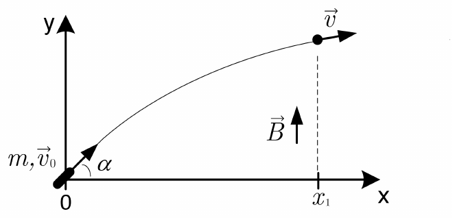 Eixos x e y; partícula de massa m lançada da origem com velocidade v0 e ângulo α; trajetória curva até um ponto acima de x1 com velocidade v; campo magnético B vertical para cima.