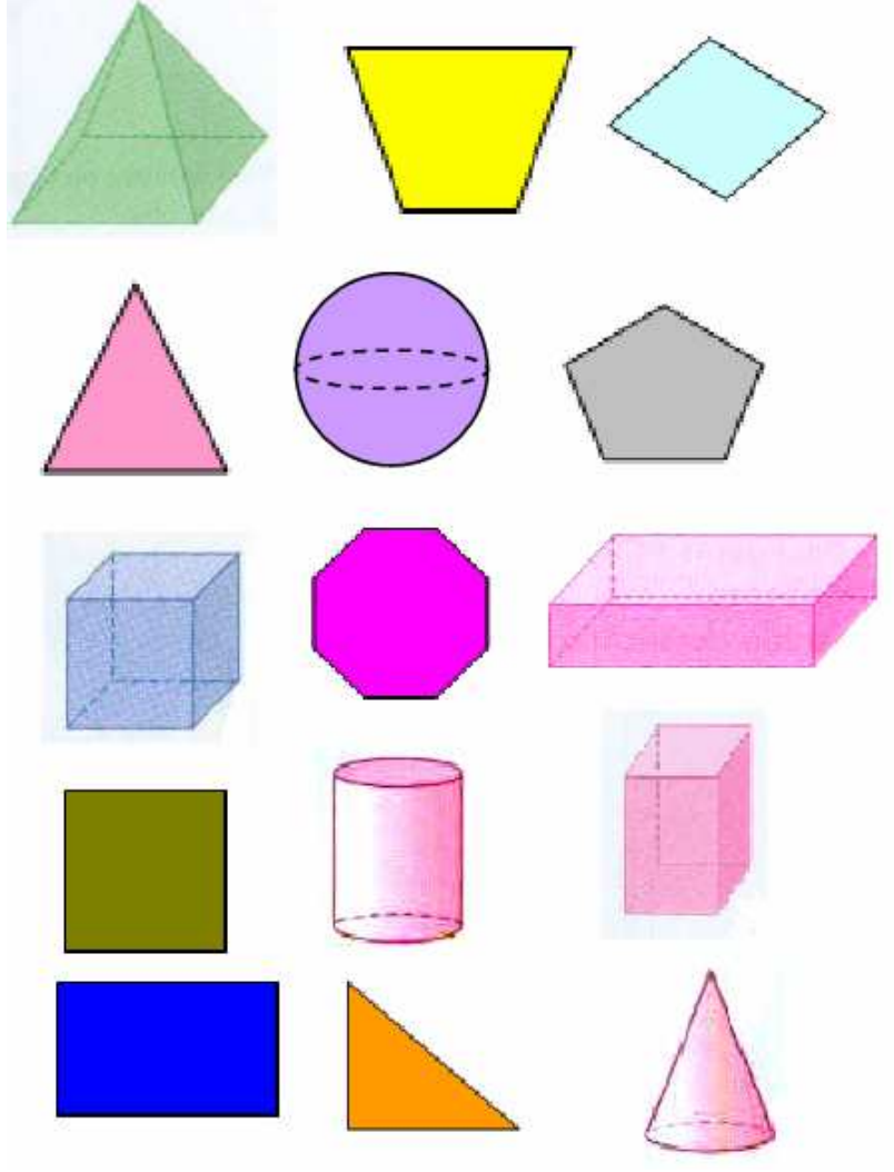 Quinze figuras geométricas: pirâmide, trapézio, losango, triângulo, esfera, pentágono, cubo, octógono, paralelepípedo, quadrado, cilindro, prisma, retângulo, triângulo retângulo e cone.