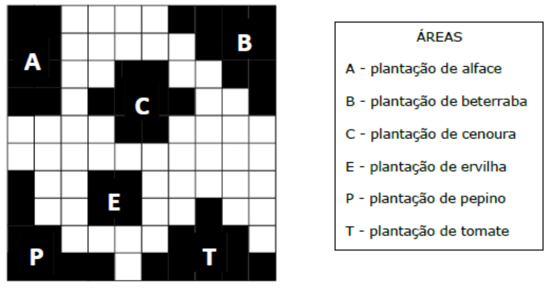 Malha quadriculada com regiões pintadas de preto identificadas pelas letras A, B, C, E, P e T, e quadro ÁREAS: A - plantação de alface; B - plantação de beterraba; C - plantação de cenoura; E - plantação de ervilha; P - plantação de pepino; T - plantação de tomate.