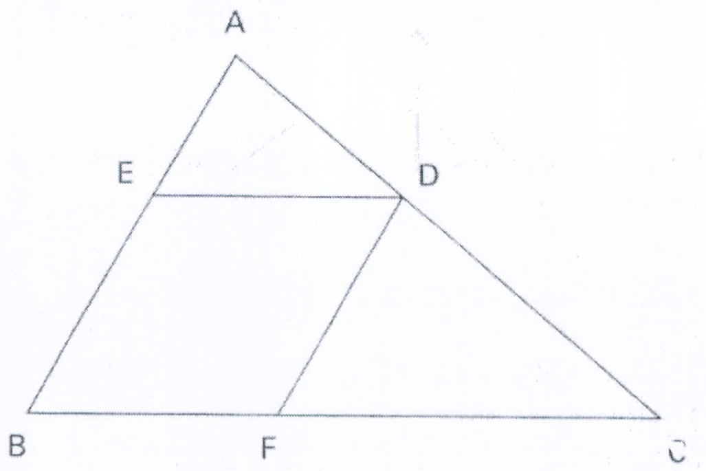 Triângulo ABC com B e C na base e A no topo; E sobre AB, D sobre AC e F sobre BC formam o losango BFDE, com ED paralelo a BC e DF paralelo a AB.