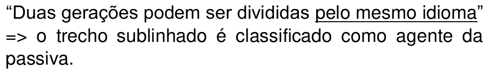 “Duas gerações podem ser divididas pelo mesmo idioma” => o trecho sublinhado é classificado como agente da passiva. (Trecho sublinhado: “pelo mesmo idioma”.)
