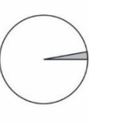 Gráfico de setores branco com setor cinza muito estreito.
