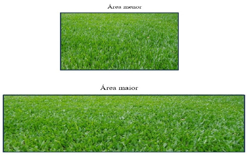 Dois retângulos de gramado: acima, o menor, rotulado “Área menor”; abaixo, o mais comprido, rotulado “Área maior”.