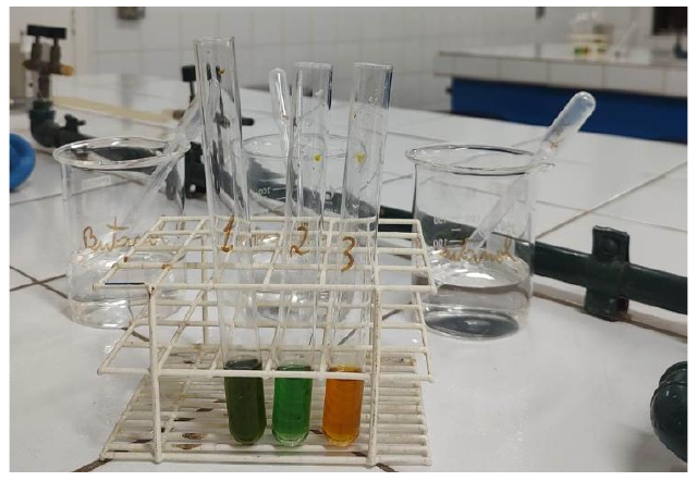 Fotografia de bancada de laboratório com béqueres e tubos de ensaio em uma estante, três deles com líquidos verde-escuro, verde e laranja.