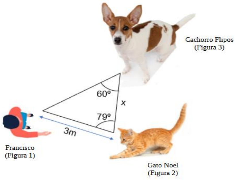 Esquema: Francisco (Figura 1), visto de cima, o cachorro Flipos (Figura 3) e o gato Noel (Figura 2) formam um triângulo. A distância de Francisco ao gato é 3 m; o lado entre o cachorro e o gato é x; o ângulo no vértice do cachorro mede 60° e o ângulo no vértice do gato mede 79°.