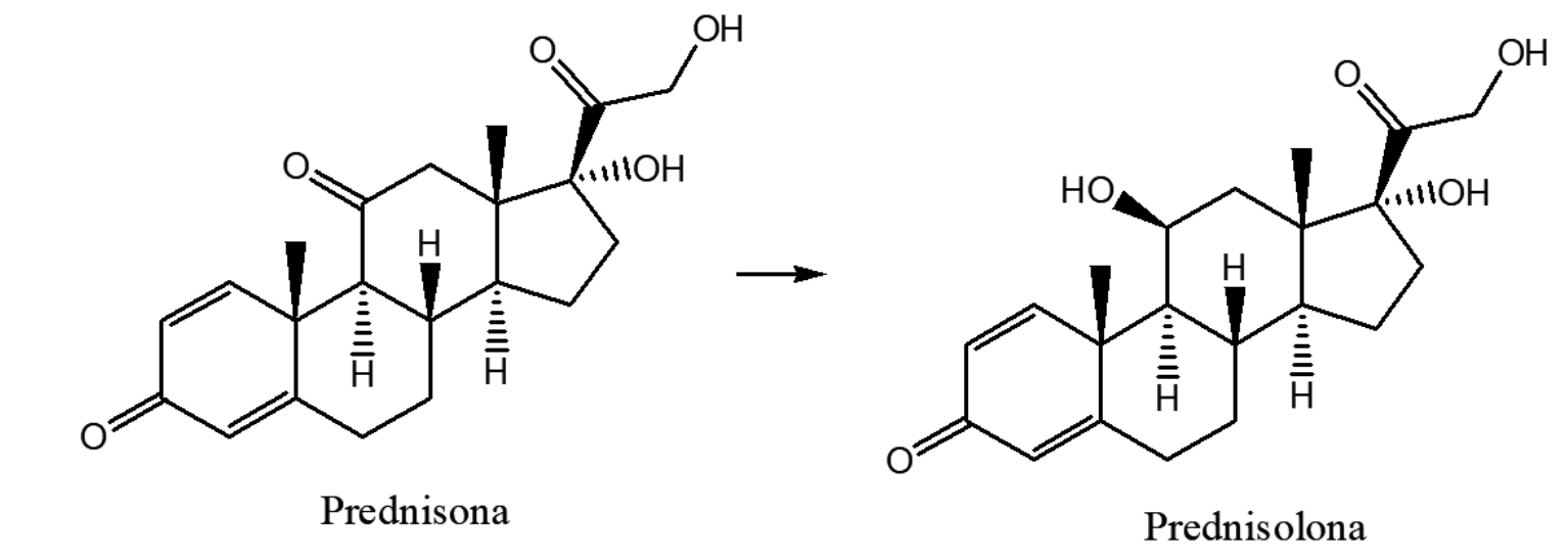 Fórmulas estruturais da prednisona (com carbonila no anel C) e da prednisolona (com hidroxila no mesmo carbono do anel C), ligadas por uma seta da prednisona para a prednisolona; ambas com núcleo esteroide, dienona no anel A e cadeia lateral com C=O e CH2OH.