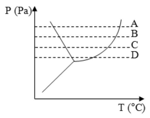 Diagrama de fases P (Pa) × T (°C) com as curvas de fusão (inclinada para a esquerda), de vaporização e de sublimação, que se encontram no ponto triplo. Quatro linhas horizontais tracejadas, A (mais alta), B, C e D (mais baixa, próxima do ponto triplo), cruzam a região do líquido.