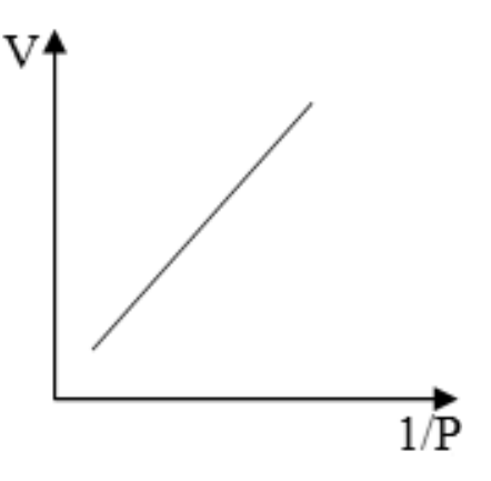 Gráfico V × 1/P com um segmento de reta tracejado crescente.