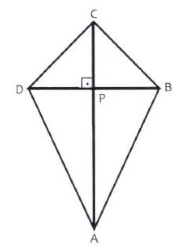 Quadrilátero ABCD em forma de pipa, com vértice C no topo, A embaixo, D à esquerda e B à direita; as diagonais AC e BD se cruzam perpendicularmente no ponto P, marcado com ângulo reto.