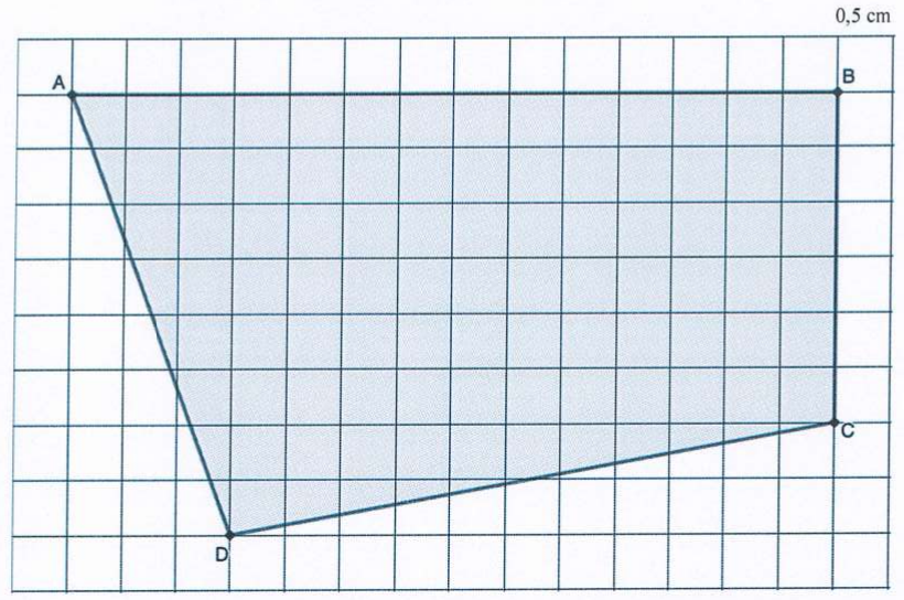 Malha quadriculada com o quadrilátero ABCD sombreado: A e B no alto, ligados por um segmento horizontal; C abaixo de B, na lateral direita; D na parte inferior, mais à esquerda. A indicação 0,5 cm aparece sobre a malha.