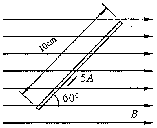 Condutor de 10 cm percorrido por corrente de 5 A, inclinado a 60° em relação às linhas horizontais de um campo magnético uniforme B.