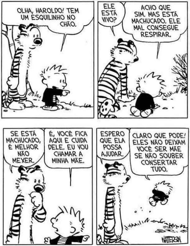 Tirinha de Calvin e Haroldo em quatro quadrinhos. 1º quadrinho: Calvin, apontando para o chão, diz: “Olha, Haroldo! Tem um esquilinho no chão.” 2º quadrinho: Haroldo pergunta: “Ele está vivo?”; Calvin responde: “Acho que sim. Mas está machucado. Ele mal consegue respirar.” 3º quadrinho: Haroldo diz: “Se está machucado, é melhor não mexer.”; Calvin responde: “É, você fica aqui e cuida dele. Eu vou chamar a minha mãe.” 4º quadrinho: Haroldo diz: “Espero que ela possa ajudar.”; Calvin, correndo, responde: “Claro que pode! Eles não deixam você ser mãe se não souber consertar tudo.” Assinatura: Watterson.