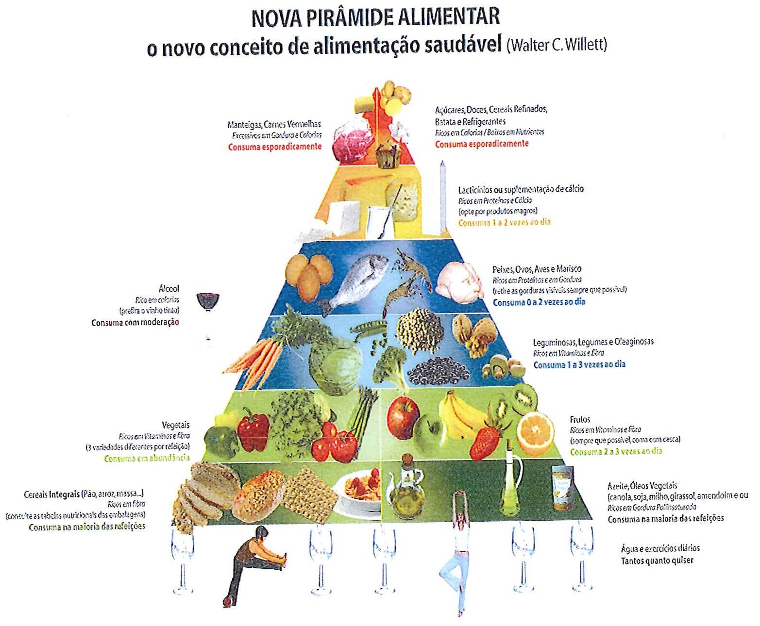 Infográfico “Nova pirâmide alimentar – o novo conceito de alimentação saudável (Walter C. Willett)”. Do topo para a base: manteigas, carnes vermelhas, açúcares, doces, cereais refinados, batata e refrigerantes – consuma esporadicamente; lacticínios ou suplementação de cálcio – consuma 1 a 2 vezes ao dia; peixes, ovos, aves e marisco – consuma 0 a 2 vezes ao dia; leguminosas, legumes e oleaginosas – consuma 1 a 3 vezes ao dia; vegetais – consuma em abundância; frutos – consuma 2 a 3 vezes ao dia; cereais integrais (pão, arroz, massa...) e azeite, óleos vegetais – consuma na maioria das refeições; água e exercícios diários – tantos quanto quiser. Ao lado: álcool – consuma com moderação.
