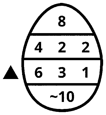 Esquema em forma de ovo do código de gelo marinho. Linha superior: 8. Segunda linha: 4, 2, 2. Terceira linha: 6, 3, 1, com um triângulo preto à esquerda. Linha inferior: ~10.
