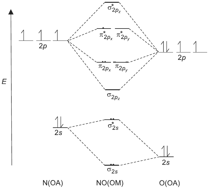 Diagrama de energia dos orbitais moleculares do NO: à esquerda os orbitais atômicos do N (2s com 2 elétrons; 2p com 3 elétrons desemparelhados), à direita os do O (2s com 2 elétrons; 2p com 4 elétrons), e ao centro os orbitais moleculares do NO, de baixo para cima: σ2s, σ*2s, π2px e π2py, σ2pz, π*2px e π*2py, σ*2pz, ligados por linhas tracejadas aos orbitais atômicos; eixo vertical de energia E. Rótulos: N(OA), NO(OM), O(OA).