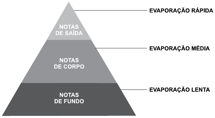 Pirâmide olfativa em três faixas: no topo, notas de saída (evaporação rápida); no meio, notas de corpo (evaporação média); na base, notas de fundo (evaporação lenta).