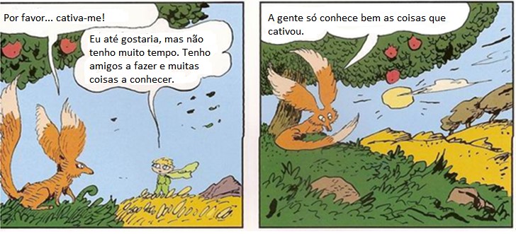 Dois quadrinhos. No primeiro, a raposa diz: "Por favor... cativa-me!" e o pequeno príncipe responde: "Eu até gostaria, mas não tenho muito tempo. Tenho amigos a fazer e muitas coisas a conhecer." No segundo, a raposa, sob uma macieira, diz: "A gente só conhece bem as coisas que cativou."
