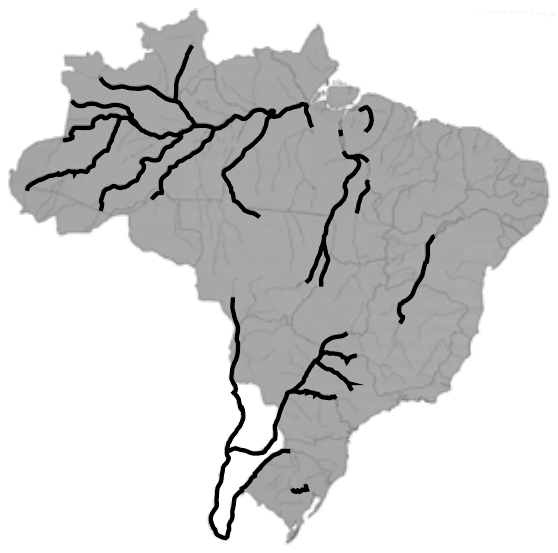 Mapa do Brasil em cinza com linhas pretas grossas e sinuosas em destaque, distribuídas pela Região Norte (várias linhas ramificadas de oeste para leste), pelo interior do Nordeste e do Centro-Oeste e por uma linha longa no sentido norte-sul no oeste do Centro-Sul, com ramificações no Sudeste.