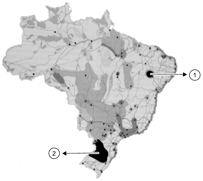 Mapa do Brasil com rede de rodovias, pontos de cidades e manchas em diferentes tons de cinza. Uma seta indica o número 1 numa mancha preta pequena no interior do Nordeste, e outra seta indica o número 2 numa grande mancha preta no oeste do Rio Grande do Sul.