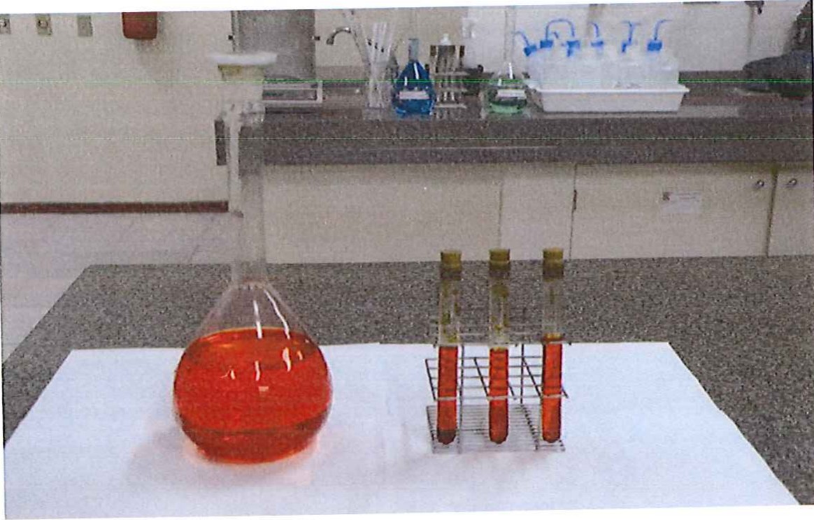 Fotografia de uma bancada de laboratório com um balão de fundo chato e três tubos de ensaio em uma estante, todos com líquido vermelho.