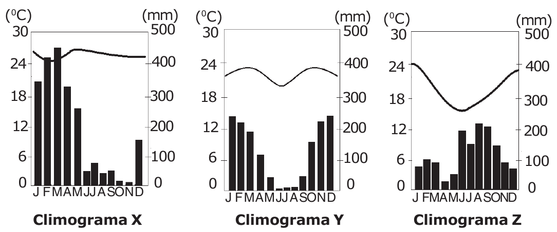 Climogramas X, Y e Z com temperaturas médias mensais em linha (escala de 0 a 30 °C) e precipitação mensal em barras (escala de 0 a 500 mm), de janeiro a dezembro.
