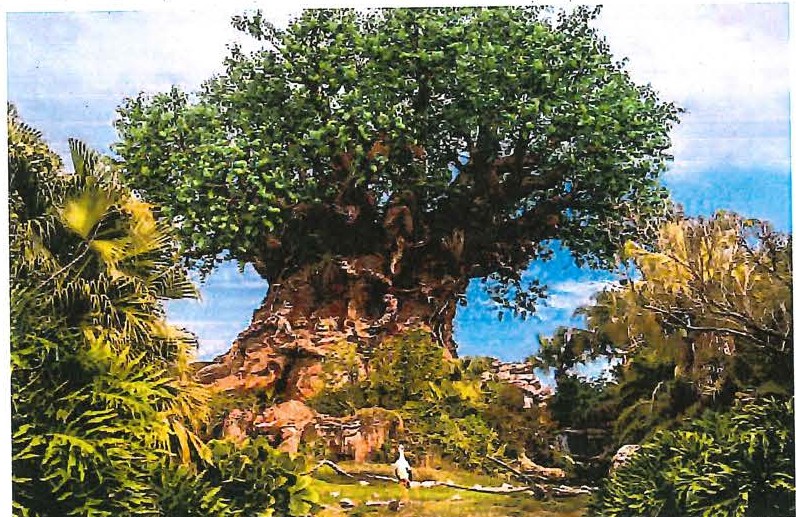 Fotografia da Árvore da Vida, grande árvore esculpida com copa frondosa, cercada de vegetação tropical, no parque Animal Kingdom.