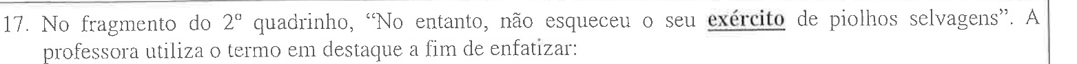 Enunciado impresso da questão 17, com a palavra “exército” em negrito e sublinhado.
