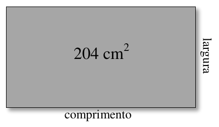 Retângulo cinza com a indicação 204 cm² no centro, comprimento na base e largura na lateral.
