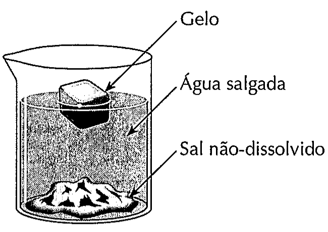 Béquer contendo água salgada, um cubo de gelo flutuando na superfície e sal não dissolvido depositado no fundo, com as legendas Gelo, Água salgada e Sal não-dissolvido.
