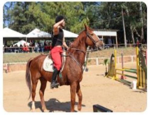 Fotografia de um aluno montado a cavalo, prestando continência, em pista de hipismo com obstáculos.