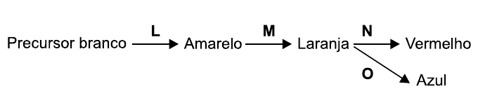 Esquema: Precursor branco, seta com a letra L, Amarelo; seta com a letra M, Laranja; de Laranja saem duas setas: uma com a letra N, para Vermelho, e outra com a letra O, para Azul.