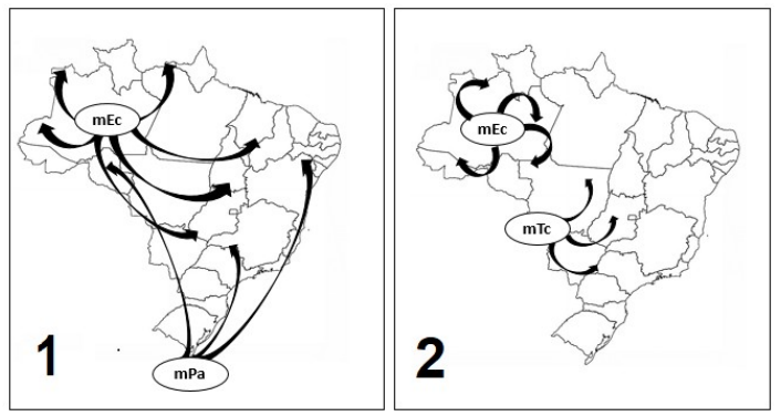 Dois mapas do Brasil: no quadro 1, setas da mEc (a partir do noroeste) e da mPa (a partir do sul); no quadro 2, setas da mEc e da mTc.