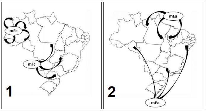 Dois mapas do Brasil: no quadro 1, setas da mEc (restrita ao noroeste) e da mTc; no quadro 2, setas da mEa (a partir do litoral norte/nordeste) e da mPa (a partir do sul).