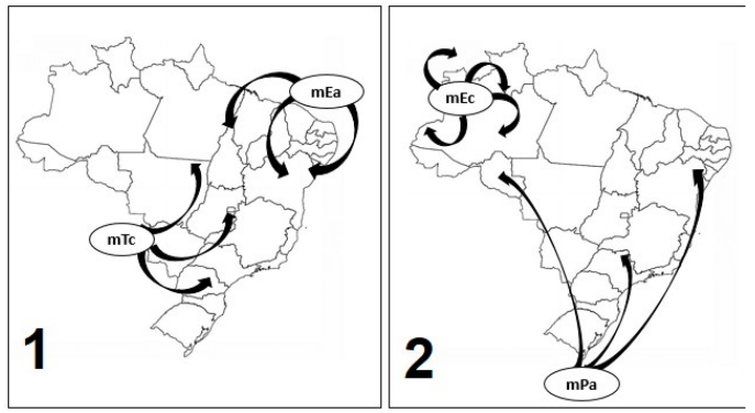 Dois mapas do Brasil: no quadro 1, setas da mEa (a partir do Nordeste) e da mTc; no quadro 2, setas da mEc (restrita ao noroeste) e da mPa (a partir do sul).