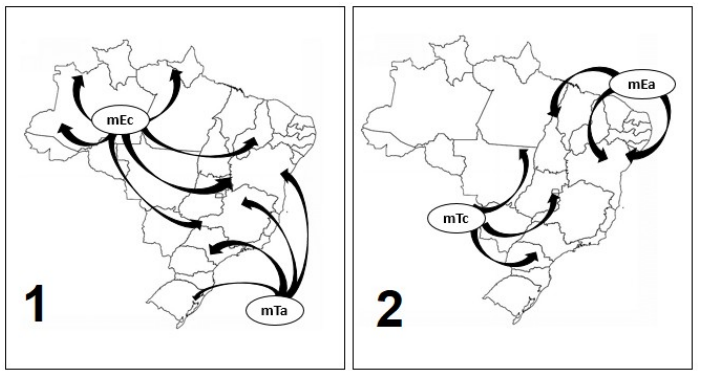 Dois mapas do Brasil: no quadro 1, setas da mEc (a partir do noroeste) e da mTa (a partir do litoral sudeste); no quadro 2, setas da mEa (a partir do Nordeste) e da mTc.