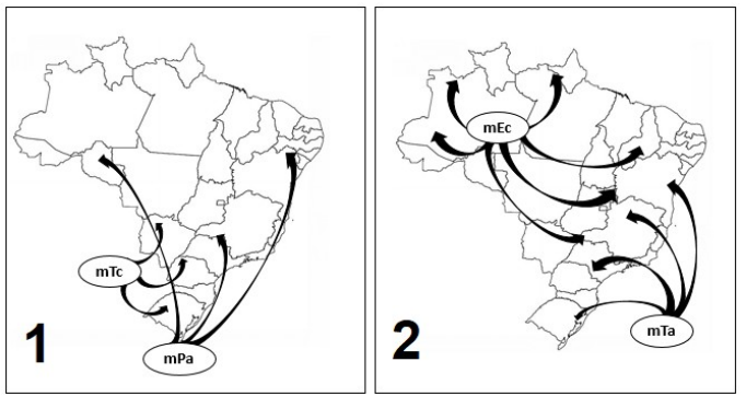 Dois mapas do Brasil: no quadro 1, setas da mTc e da mPa (a partir do sul); no quadro 2, setas da mEc (a partir do noroeste) e da mTa (a partir do litoral sudeste).
