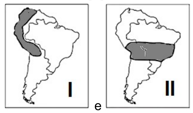 Dois mapas da América do Sul ligados por “e”: no mapa I, área sombreada na faixa ocidental do norte do continente, junto ao Pacífico; no mapa II, faixa sombreada atravessando o centro do continente no sentido leste–oeste.
