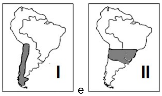 Dois mapas da América do Sul ligados por “e”: no mapa I, faixa sombreada estreita ao longo do litoral do Pacífico, no sul do continente; no mapa II, faixa sombreada atravessando o continente no sentido leste–oeste, na altura do sul do Brasil.