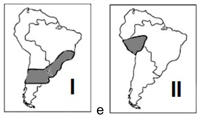 Dois mapas da América do Sul ligados por “e”: no mapa I, faixa sombreada diagonal do sudeste do Brasil até o litoral do Pacífico; no mapa II, área sombreada no interior do noroeste do continente.