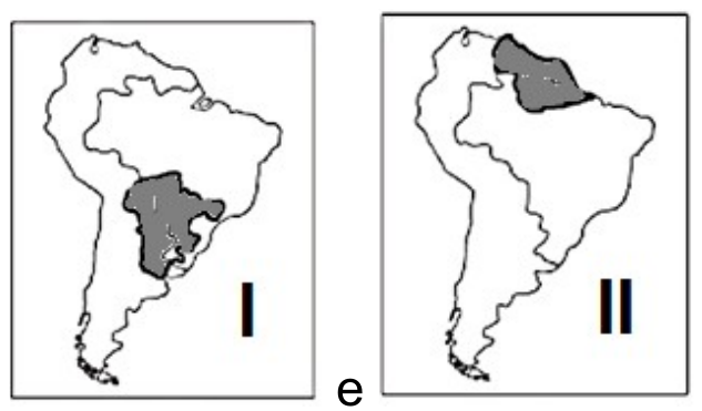 Dois mapas da América do Sul ligados por “e”: no mapa I, área sombreada no centro-sul do continente; no mapa II, área sombreada no extremo norte do continente.