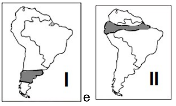 Dois mapas da América do Sul ligados por “e”: no mapa I, faixa sombreada no sul do continente, no sentido leste–oeste; no mapa II, faixa sombreada atravessando o norte do continente no sentido leste–oeste.