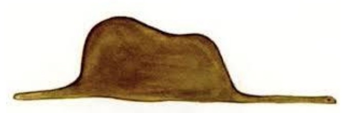 Desenho número 1: forma marrom alongada que lembra um chapéu (a jiboia fechada digerindo um elefante).