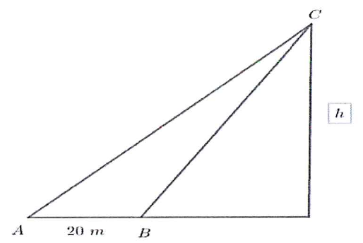 Triângulo retângulo com base horizontal e lado vertical h à direita até o ponto C. Na base, ponto A à esquerda e ponto B 20 m à direita de A; segmentos AC e BC partem da base até C.