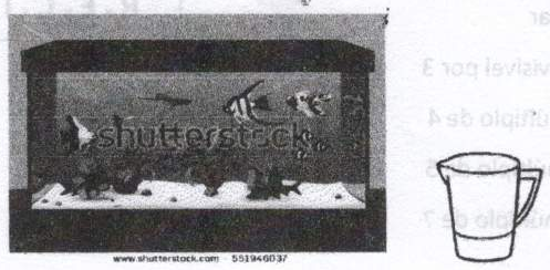 Fotografia de um aquário residencial em forma de paralelepípedo e, ao lado, desenho de uma jarra.