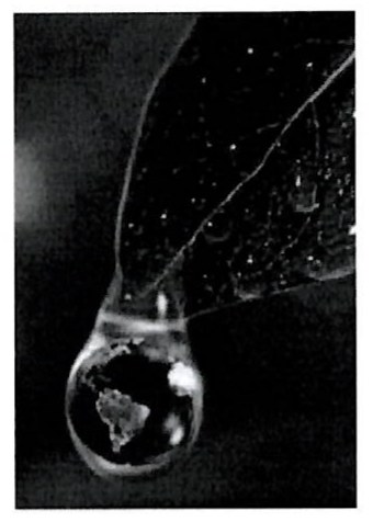Fotografia de uma gota de água pendente de uma folha, com a imagem de um globo terrestre refletida dentro da gota.