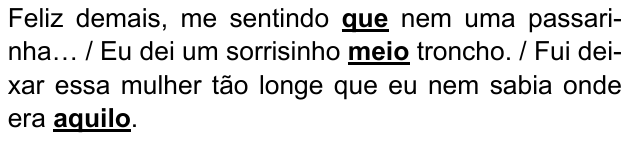 Alternativa E: “Feliz demais, me sentindo que nem uma passarinha… / Eu dei um sorrisinho meio troncho. / Fui deixar essa mulher tão longe que eu nem sabia onde era aquilo.” Destacados em negrito e sublinhado: “que”, “meio” e “aquilo”.