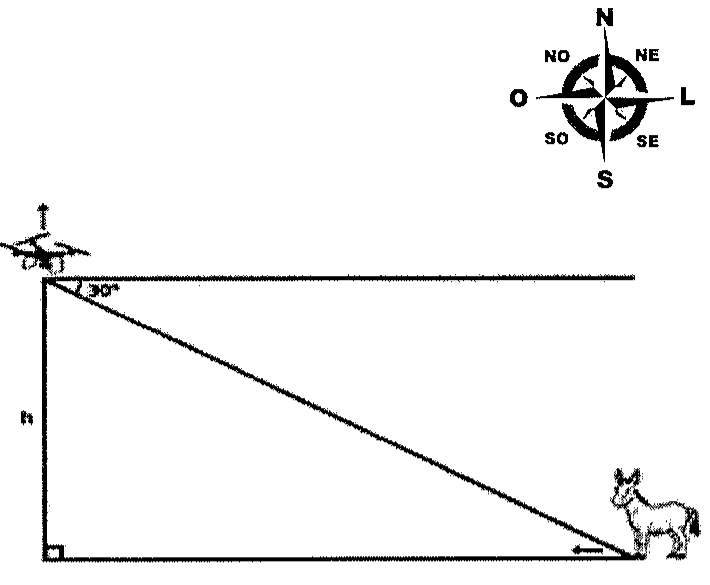 Rosa dos ventos (N, NE, L, SE, S, SO, O, NO) e triângulo retângulo: drone no vértice superior a uma altura h, linha horizontal com ângulo de depressão de 30° até um jumento no solo, com seta indicando o movimento do jumento para a esquerda.