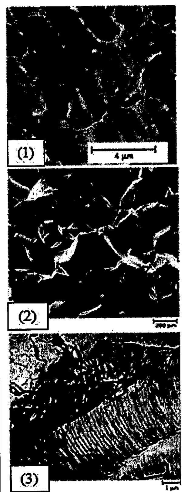 Três fractografias em microscopia eletrônica, empilhadas verticalmente e numeradas (1), (2) e (3), com barras de escala; a (1) com escala de 4 µm, a (2) mostrando superfície facetada e a (3) mostrando região com estrias paralelas.