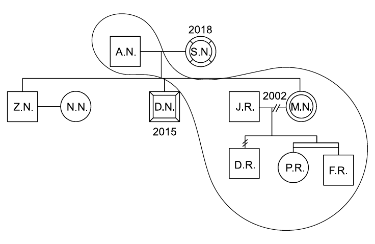 Genograma: A.N. (quadrado) ligado a S.N. (círculo duplo, com o ano 2018 acima); filhos Z.N. (quadrado, ligado a N.N., círculo) e D.N. (quadrado duplo, com 2015 abaixo); J.R. (quadrado) ligado a M.N. (círculo duplo) por linha com dois traços e o ano 2002; filhos D.R. (quadrado, ligado à linha por traço com dois cortes), P.R. (círculo) e F.R. (quadrado), estes dois ligados por linhas que partem do mesmo ponto. Uma linha curva fechada envolve A.N., S.N., D.N., J.R., M.N., D.R., P.R. e F.R.