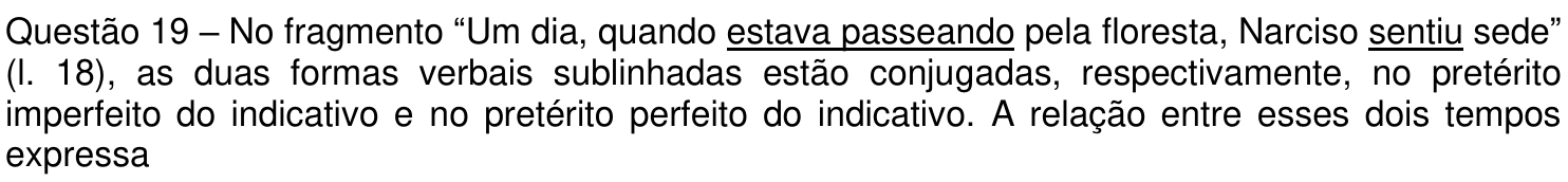Enunciado da questão 19 como impresso, com as formas verbais “estava passeando” e “sentiu” sublinhadas.